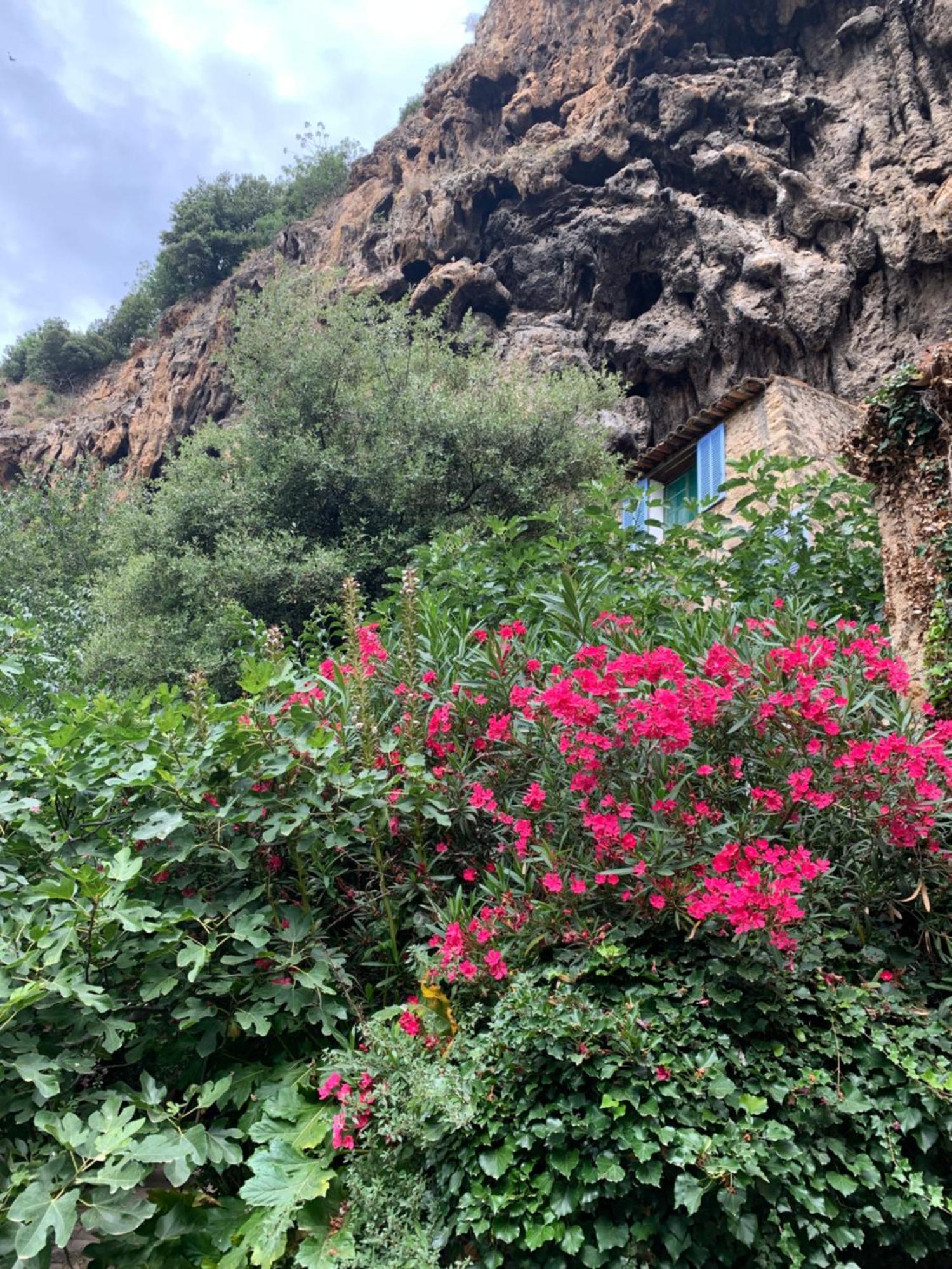 코티냑 Tivoli En Provence 빌라 외부 사진