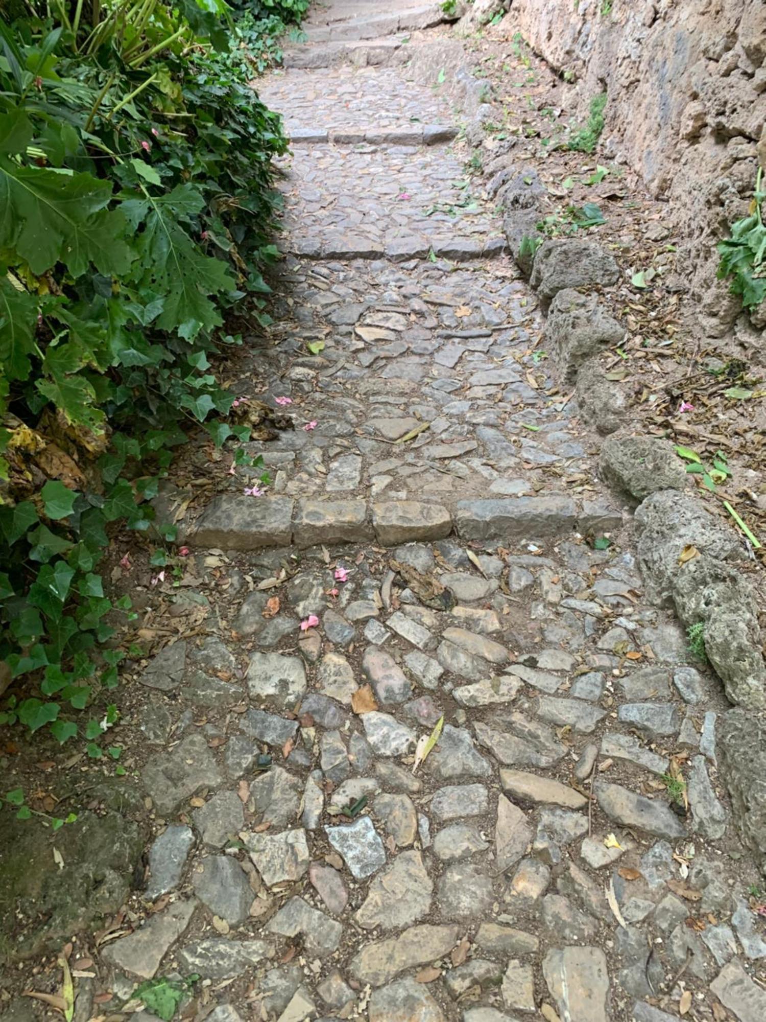 코티냑 Tivoli En Provence 빌라 외부 사진